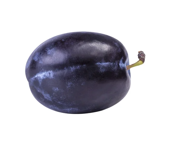 Plum on a white isolate — Stock Photo, Image