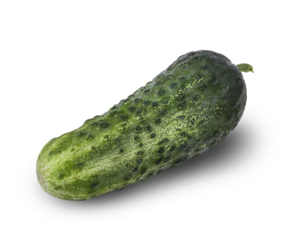 Cucumber isolated on white — Stock Photo, Image