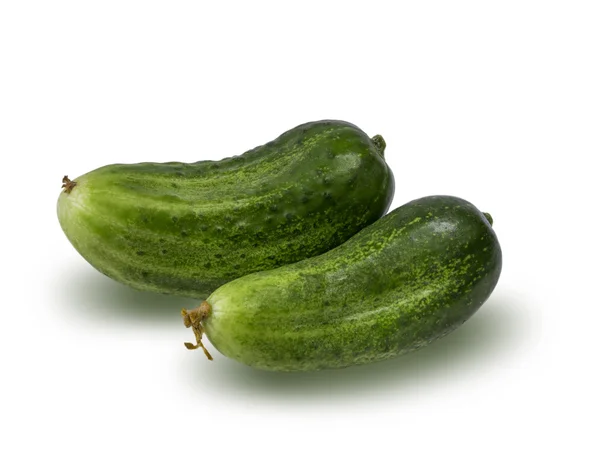 Cucumber isolated on white — Stock Photo, Image