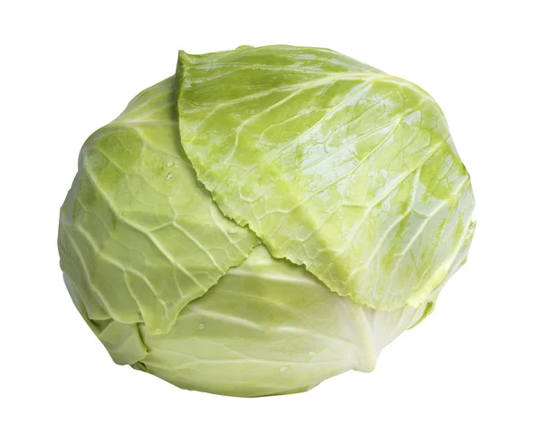 白菜上的绿色卷心菜 — 图库照片