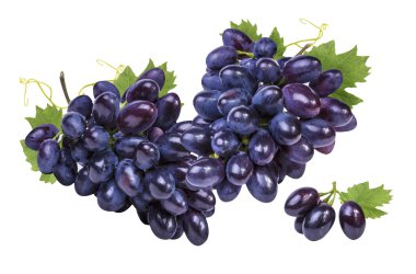 grapes isolated on the white 