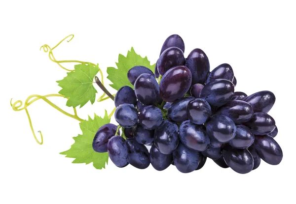 Grapes isolated on the white — Stock Photo, Image