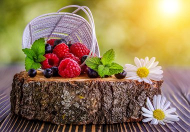 Taze Ahududu ve sepet içinde siyah kuş üzümü 