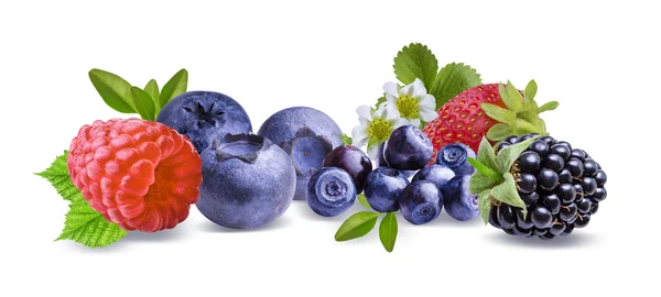 Mûres, fraises, framboises, bleuets et feuilles isolées — Photo