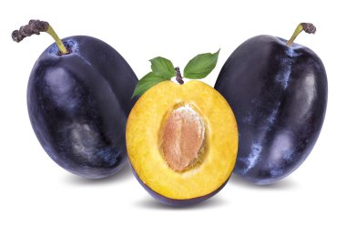 Erik üzerinde beyaz izole