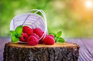 sepet içinde taze ahududu 