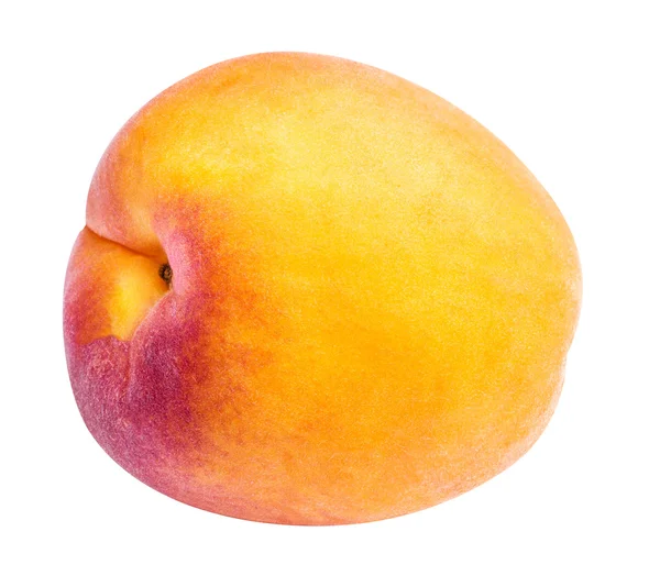 Verse abrikoos op wit, geïsoleerd — Stockfoto