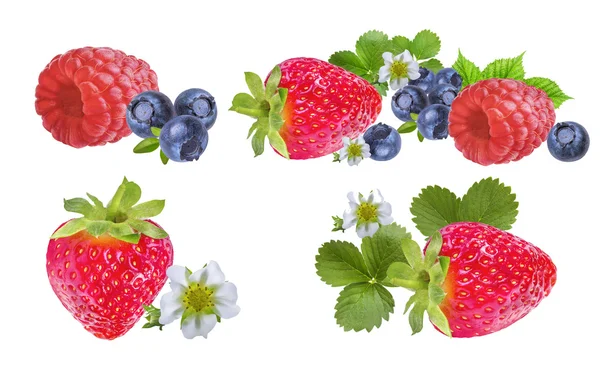 Fraises, bleuets, framboises isoler sur un blanc — Photo