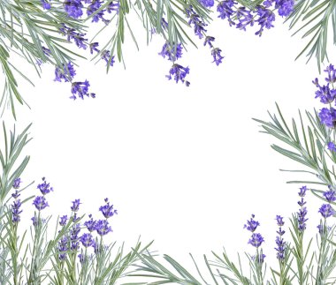  çiçek çerçeve üzerinde beyaz izole 