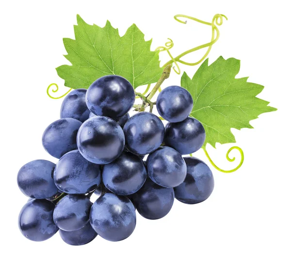 grapes isolated on the white 