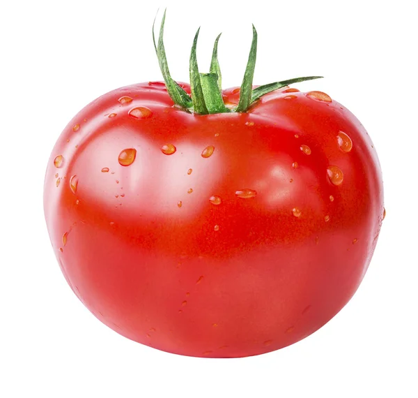 Tomat isolerad på vitt — Stockfoto