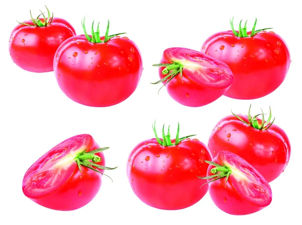 Tomate isoliert auf weiß — Stockfoto