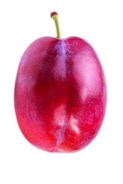 plum on a white 