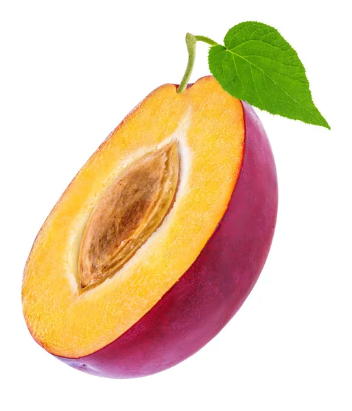 Plum pada warna putih — Stok Foto