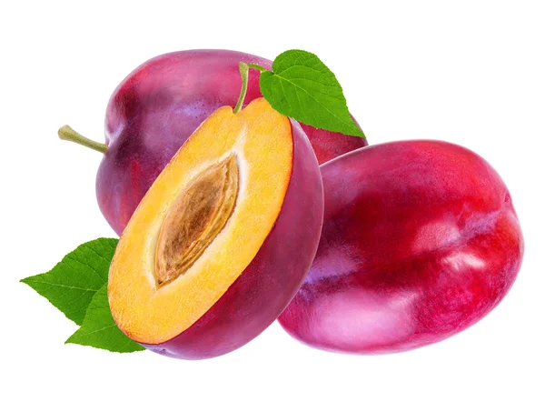 Plum pada warna putih — Stok Foto