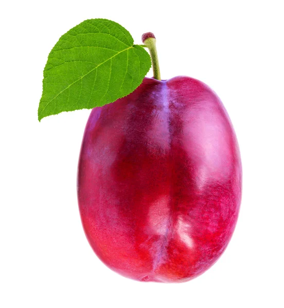 Plum on a white — Stock Photo, Image