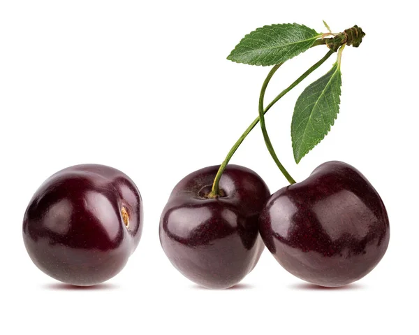 Cherry Diisolasi Pada Backgroundd Putih — Stok Foto