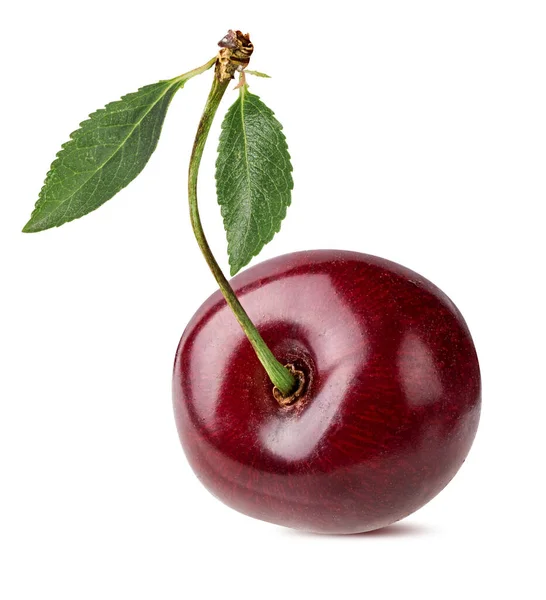 Cherry Isolated White Backgroundd — Stock Photo, Image
