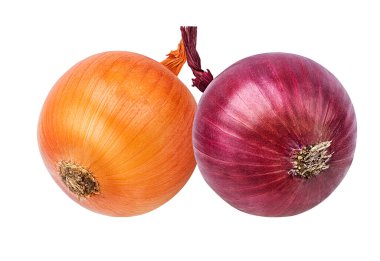 Beyaz arkaplanda soğan izole edildi