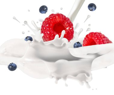 Ahududu, yabanmersini ve süt sıçraması, ahududu yoğurdu izole edilmiş.