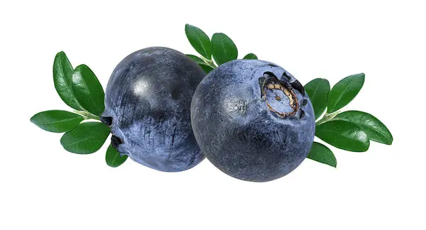 Blueberry Terisolasi Blueberry Dengan Latar Belakang Putih Bilberry — Stok Foto