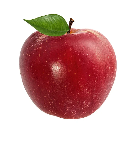 Apple White Background Stock Picture