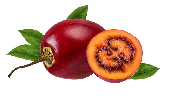 Tamarillo Eristetty Valkoisella Pohjalla — kuvapankkivalokuva