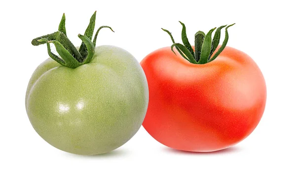 Tomate Isoliert Auf Weißem Hintergrund — Stockfoto