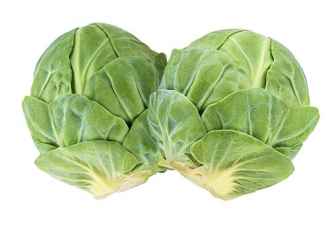 Beyaz arkaplanda Brüksel lahanası