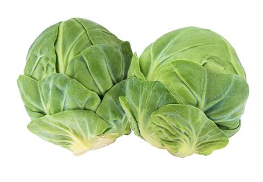 Beyaz arkaplanda Brüksel lahanası