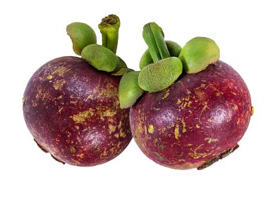 Mangosteen beyaz arka planda izole
