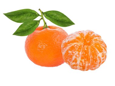 Mandalina, mandalina, turunçgil, beyaz arka planda yaprak.