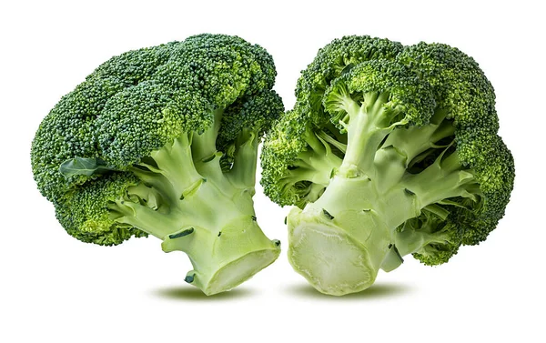 Broccoli Izolat Fundal Alb — Fotografie, imagine de stoc