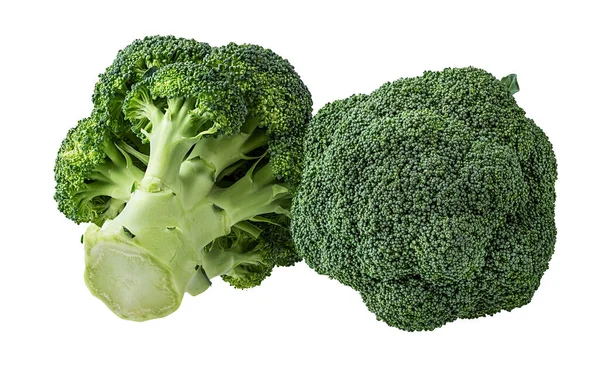 Broccoli Isolated White Background — Stock Photo, Image