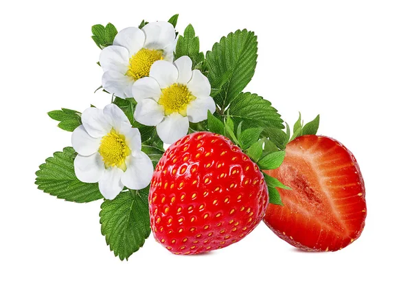 Fragola Isolata Sfondo Bianco — Foto Stock