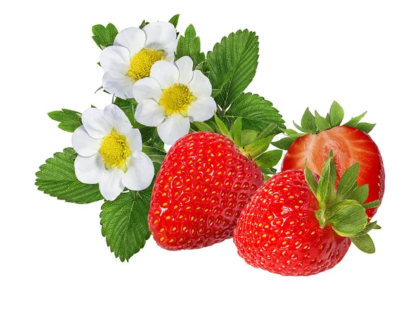 Fragola Isolata Sfondo Bianco — Foto Stock