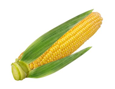 beyaz arkaplanda izole mısır