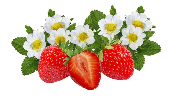 Fragola Isolata Sfondo Bianco — Foto Stock