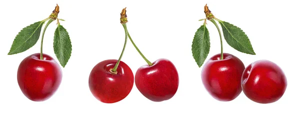 Cherry Diisolasi Pada Backgroundd Putih — Stok Foto