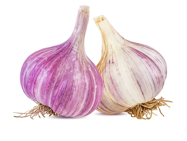 Knoblauch Isoliert Auf Weißem Hintergrund — Stockfoto