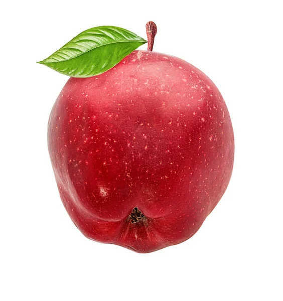 Äpple Vit Bakgrund — Stockfoto