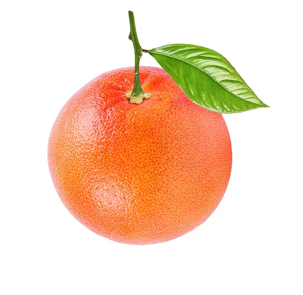 Grapefruit Geïsoleerd Witte Achtergrond — Stockfoto
