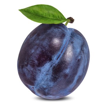 Beyaz arkaplanda erik izole edildi