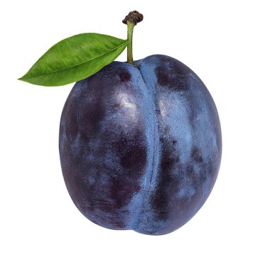 Beyaz arkaplanda erik izole edildi