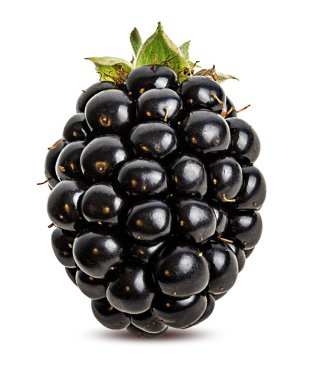 Blackberry beyaz arkaplanda izole edildi