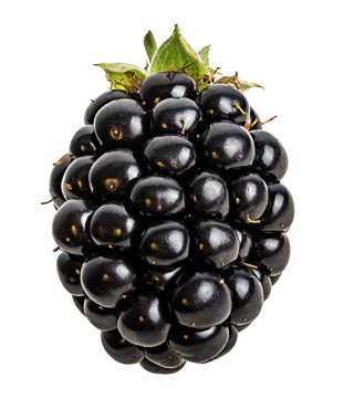 Blackberry beyaz arkaplanda izole edildi