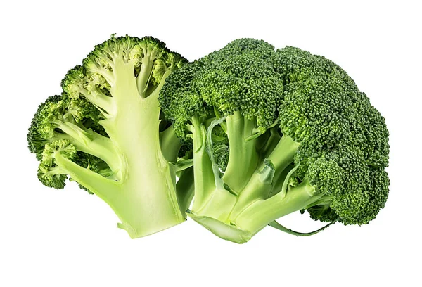 Broccoli Isolated White Background — Stock Photo, Image