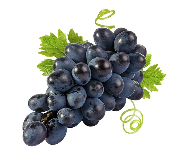 Beyaz arkaplanda taze yeşil üzümler izole edilmiş.