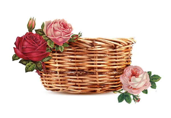 Розы Корзине Изолированы Белом Фоне Романтика — стоковое фото