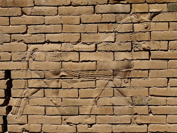 Bull bas-relief, Ishtar gate, Babylon — Stock Photo, Image